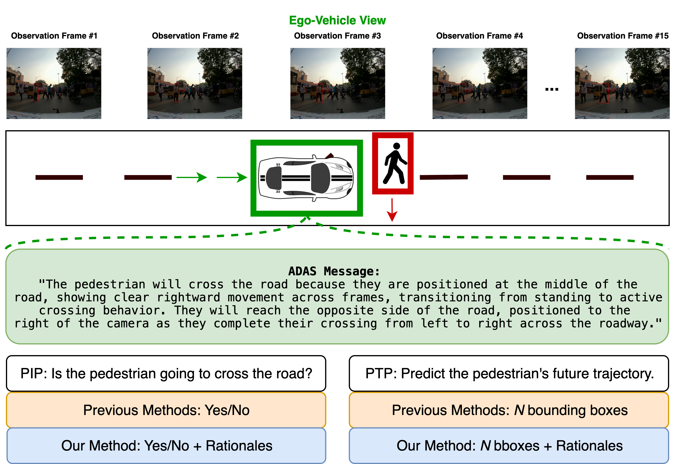 Illustration of an unstructured traffic scenario where a pedestrian crosses in front of the ego vehicle. PedestrianQA predicts intention, trajectory and rationale.